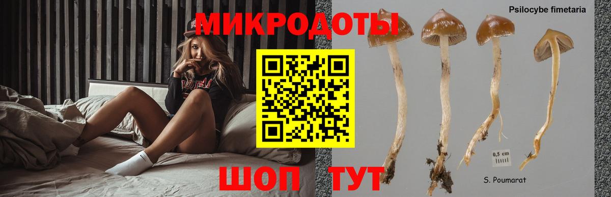 Псилоцибиновые грибы Cubensis  наркотики  Псилоцибиновые грибы ЛСД  Новоалександровск  Вход с VPN 